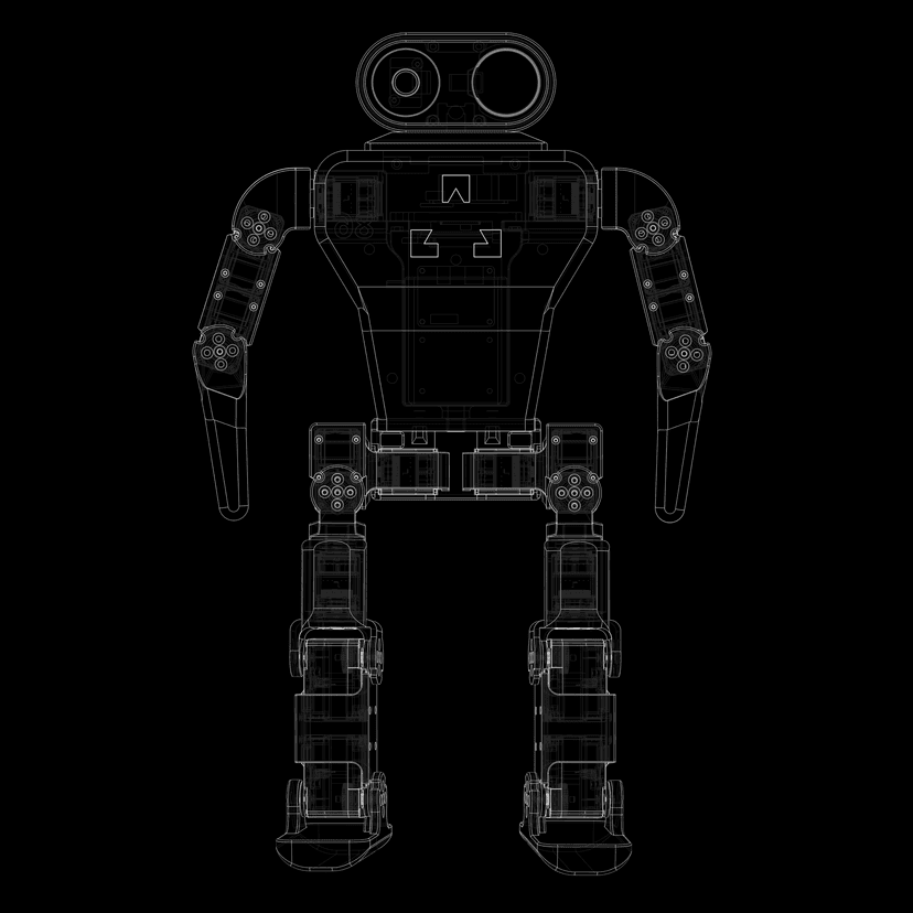 Humanoid Robot